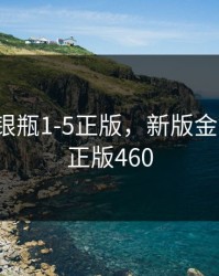 新版金银瓶1-5正版，新版金银瓶1-5正版460