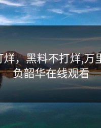 黑料不打烊，黑料不打烊,万里长征,不负韶华在线观看
