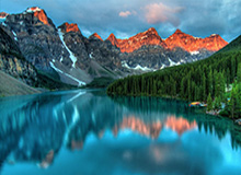 催熟po1v3道具，txt催熟