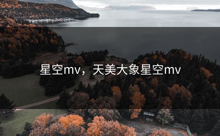 星空mv，天美大象星空mv
