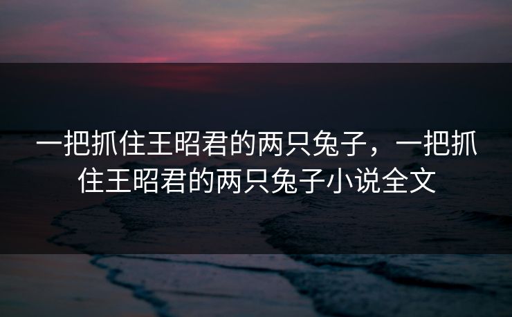 一把抓住王昭君的两只兔子,一把抓住王昭君的两只兔子小说全文 一把抓住王昭君的两只兔子,一把抓住王昭君的两只兔子小说全文