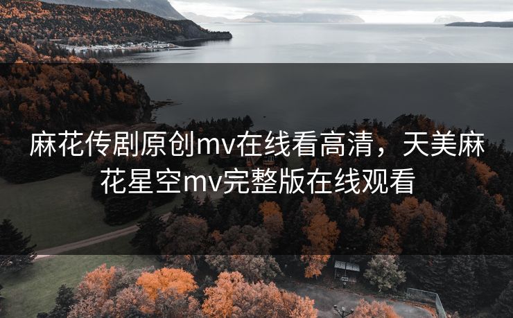 麻花传剧原创mv在线看高清，天美麻花星空mv完整版在线观看