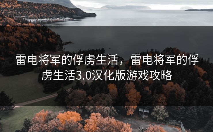 雷电将军的俘虏生活，雷电将军的俘虏生活3.0汉化版游戏攻略