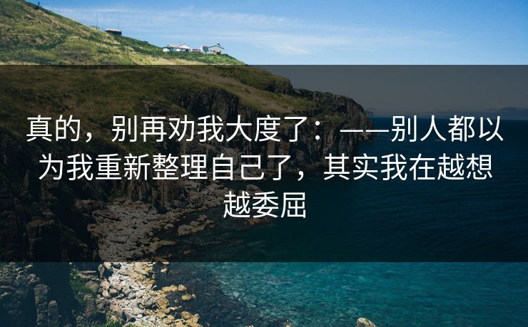 真的，别再劝我大度了：——别人都以为我重新整理自己了，其实我在越想越委屈